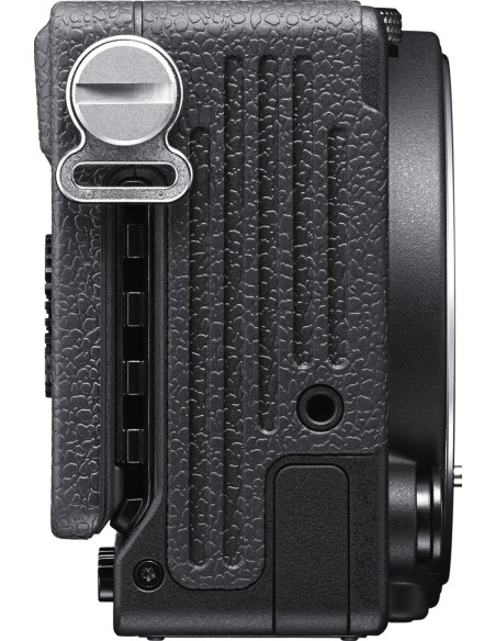 fp + AF 45mm f/2.8 (C) DG DN